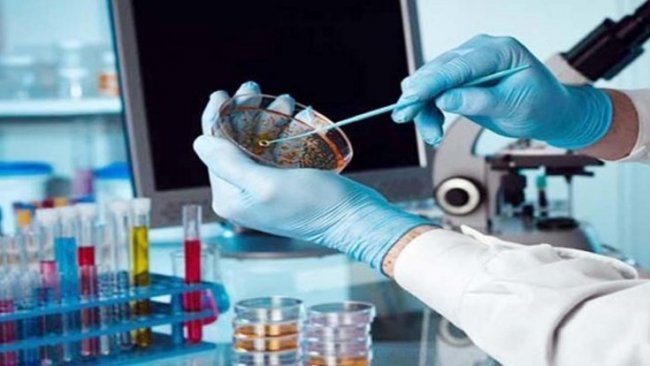 Bilim insanları, kanserin yayılmasını durdurmanın yolunu buldu