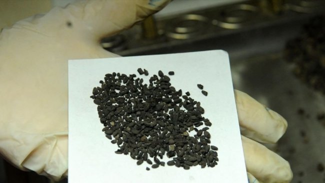 Bingöl'de kurtarma kazısında bulunan buğday taneleri 4500 yıllık çıktı