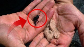 'Kayıp Dünya' olarak bilinen yerde ilginç keşif! Bilim insanlarını çok şaşırttı...