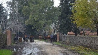 Antep'te bir mahalle 6 ay süreyle karantinaya alındı