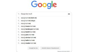 Elazığ depreminin ardından utandıran Google araması