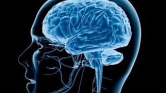 Beynin yaşlanmasını yavaşlatmanın yolu açıklandı