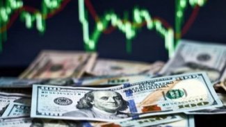 Dolar, son 8 ayın en yüksek seviyesini gördü