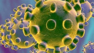 2500 yeni virüs türü keşfedildi