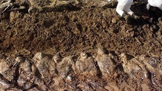 IŞİD vahşeti: 1000 kişinin toplu mezarı bulundu