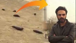 İran’da 'patlıcan yağmuru' görüntüsüne gözaltı