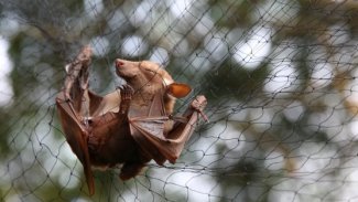 Bilim insanları, Çin'in güneyini 13 yıl önce uyarmış