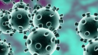 Havaların ısınması yeni koronavirüsü öldürecek mi?