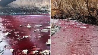 Şaşkına çeviren görüntü: Nehir kırmızıya büründü!