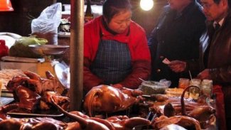 ‘Vahşi hayvan pazarları yeniden açıldı’ haberine Çin’den yanıt!