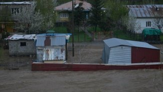 Habur çayı taştı: Tarla ve ahırlar sular altında