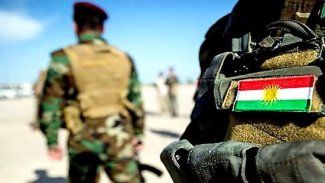 Koalisyon güçleri, Peşmerge eğitim programına başlıyor