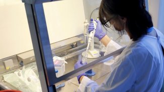 İsrail'den Koronavirüs aşısı için çığır açacak adım