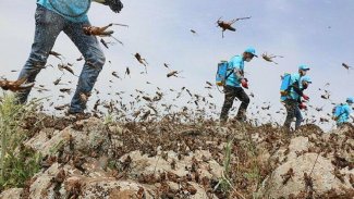 İran'dan orduyu sahaya sürme planı