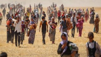 BM Ezidi soykırımıyla ilgili yeni belgelere ulaştı