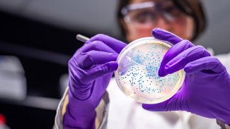 Çinli bir laboratuvar koronavirüsü aşısız durdurabildi!