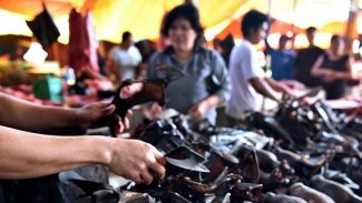 Wuhan’da vahşi hayvan yemek yasaklandı