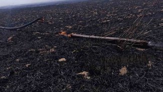 Mahmur’da Kürt çiftçilerin ekinleri ateşe verildi