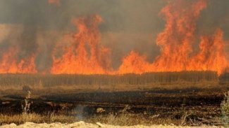 Kerkük’te Kürt çiftçilerin tarlaları ateşe veriliyor