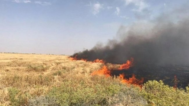 Kürt çiftçilerin arazileri planlı olarak yakılıyor