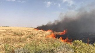 Kürt çiftçilerin arazileri planlı olarak yakılıyor