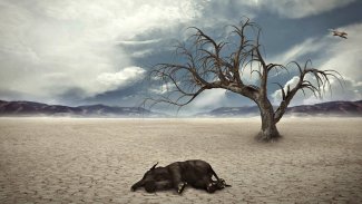 6. kitlesel yok oluşun içindeyiz ve süreç hızlanıyor