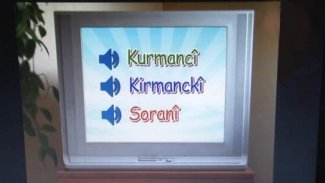 Finlandiya'da Kürtçe'nin Soranî ve Kurmancî lehçelerinde eğitim veriliyor