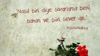 Temel Demirer: Özlemlerin İsyan Çığlığıdır Şiir[1]