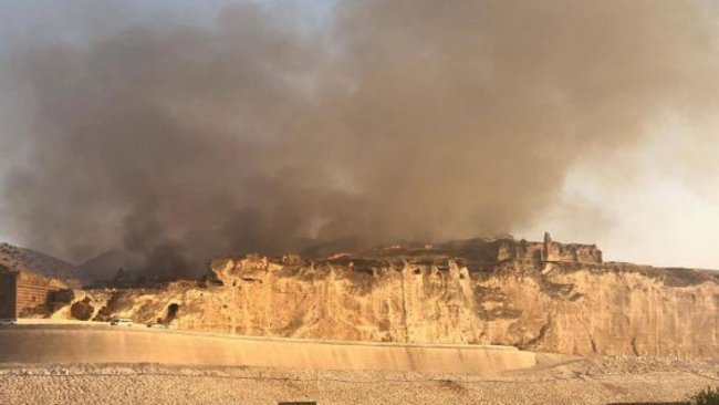 Hasankeyf'te yangın: 2 bin dönümlük alan küle döndü