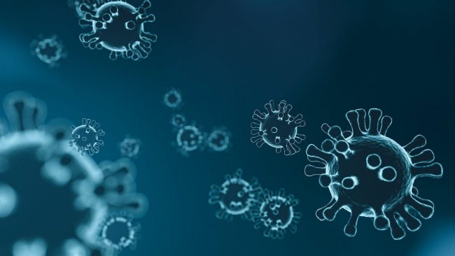 Çin virüs saçmaya devam ediyor! Şimdi de Bunyavirüs paniği