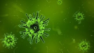 Çin öldürücü yeni bir virüs salgını konusunda uyardı