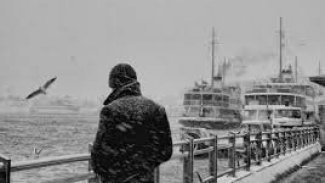 Nasılsın Akıllım