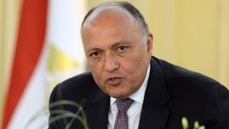 Mısır: Arap dünyası Türkiye'ye karşı ortak tutum sergilemeli