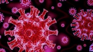 Çin’de yeni bir virüs daha ortaya çıktı