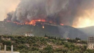 Hatay'daki orman yangınlarıyla ilgili yeni gelişme