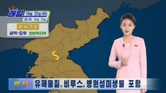 Kuzey Kore'de 'virüslü toz' uyarısı