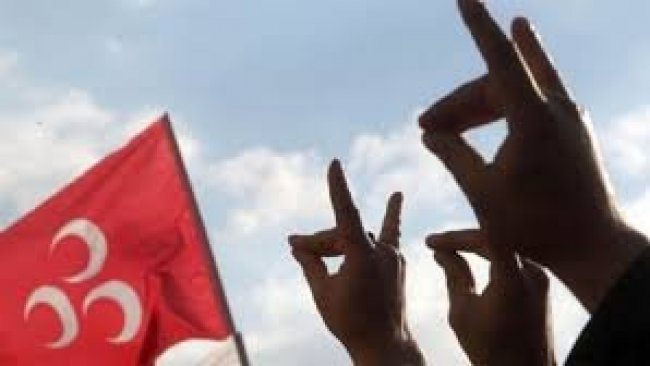 Almanya Ülkücüler'in dernek ve faaliyetlerini yasaklama kararı aldı