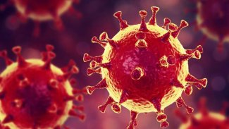 İngiliz basını: Vuhan'daki laboratuvarda tüm veriler silindi