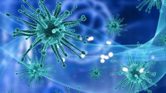 The Guardian gazetesi uyardı: Bu virüs koronadan daha tehlikeli