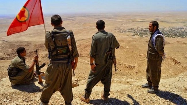 Alî Avnî: PKK Kürtlerin içerisindeki Truva Atı'dır