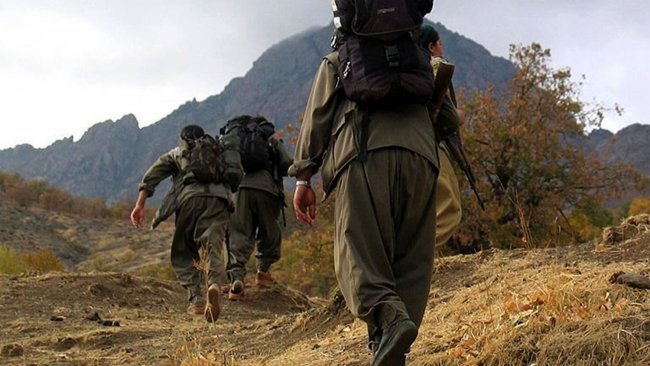 Lice’de 5 HPG’li yaşamını yitirdi