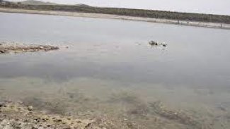 Fırat Nehri'nin suyunun azaltılması Kobanê'de krize yol açtı