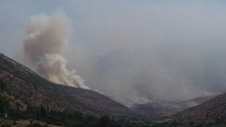 TSK ile PKK arasında şiddetli çatışma