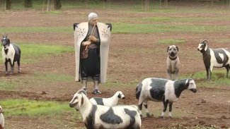 Diyarbakır’da kaldırılan heykellerin yerine yenileri yerleştirildi