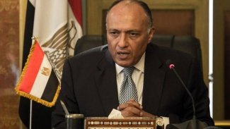 Mısır'dan 'Türkiye' açıklaması