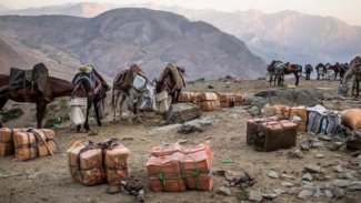 İran güvenlik güçleri Kürt kolberlere saldırdı