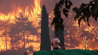 Manavgat Yangını ve Yaklaşan Şiddet Tehlikesi