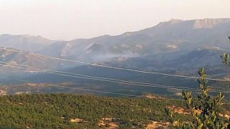 Mardin ve Şırnak'ta ormanlık alanlara girişler yasaklandı