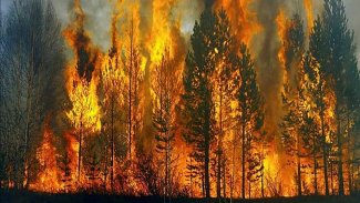 KCK'den orman yangınları açıklaması