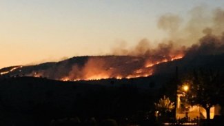 Dersim ve Şırnak'taki orman yangınları için kampanya